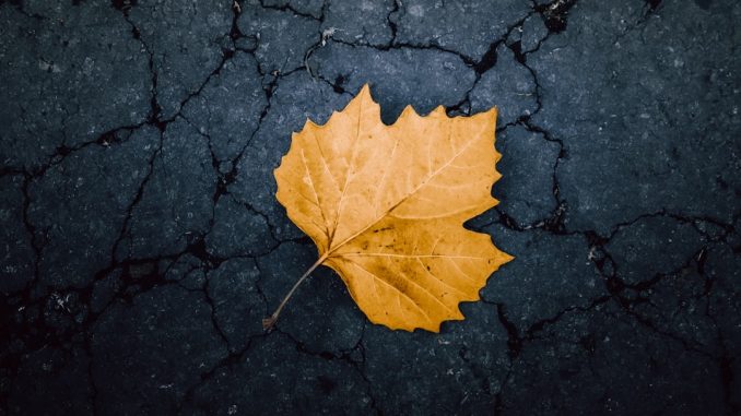 Naturliga metoder för att lindra stress och ångest illustration