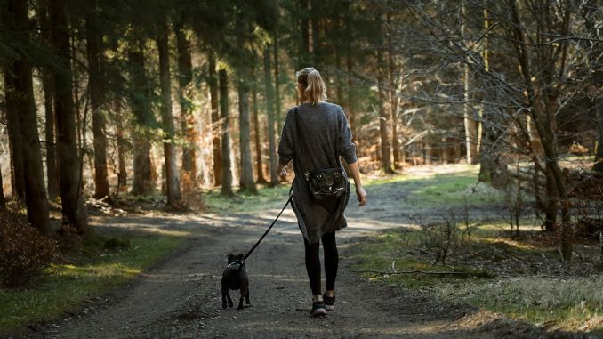 Guide till hälsosamma promenader i ditt närområde illustration