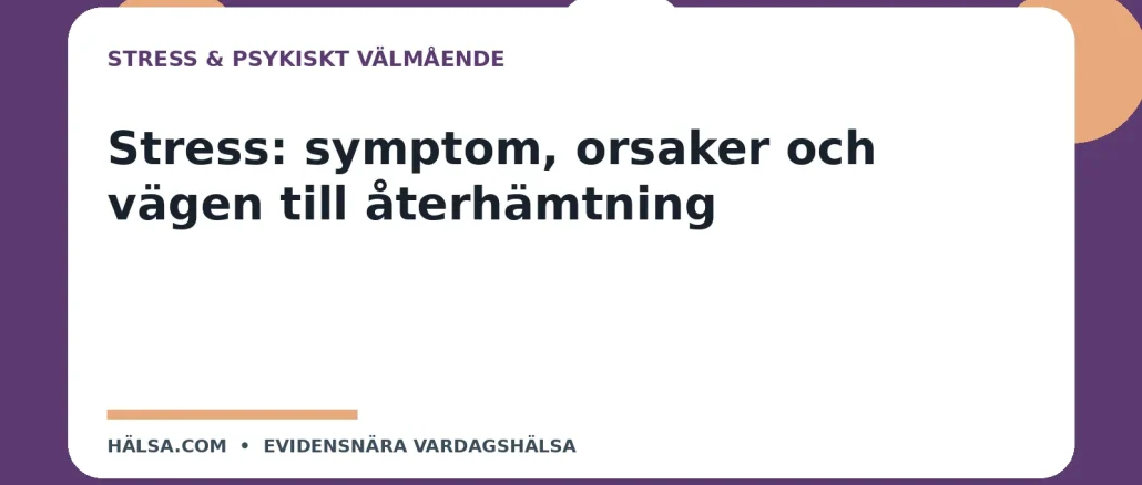 Illustration till guiden Stress: symptom, orsaker och vägen till återhämtning