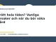 Illustration till guiden Trött hela tiden? Vanliga orsaker och när du bör söka vård