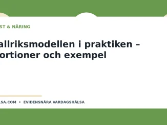 Illustration till guiden Tallriksmodellen i praktiken – portioner och exempel