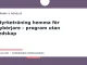 Illustration till guiden Styrketräning hemma för nybörjare – program utan redskap