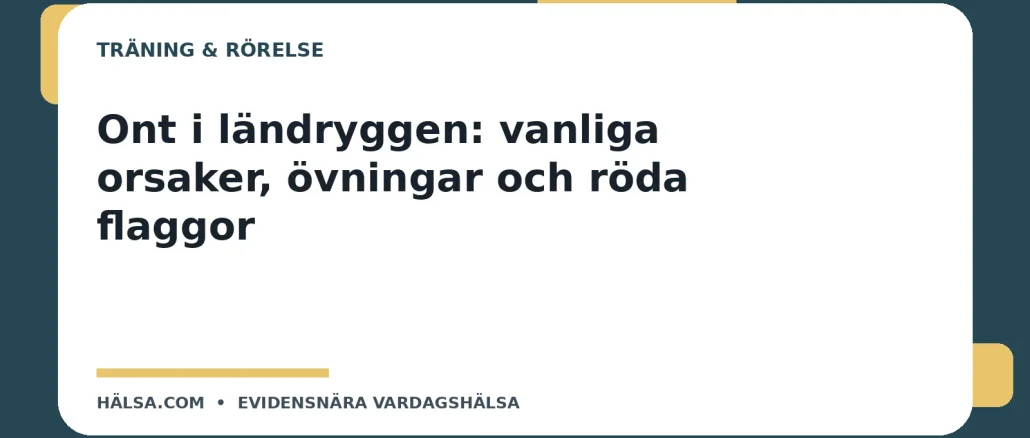 Illustration till guiden Ont i ländryggen: vanliga orsaker, övningar och röda flaggor