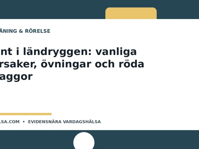 Illustration till guiden Ont i ländryggen: vanliga orsaker, övningar och röda flaggor