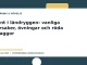Illustration till guiden Ont i ländryggen: vanliga orsaker, övningar och röda flaggor