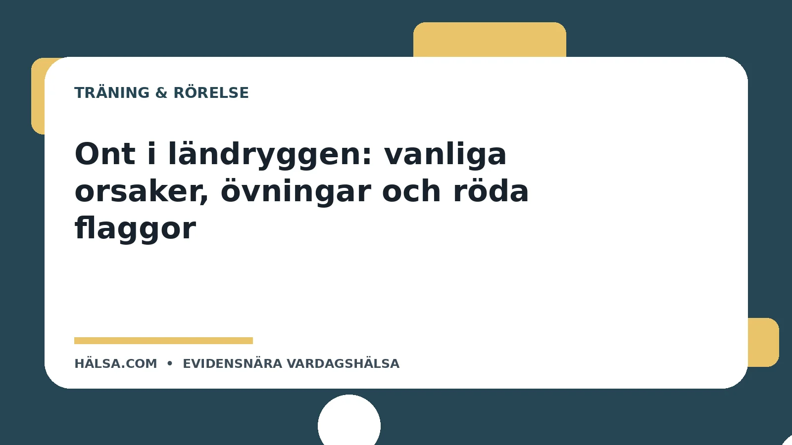 Illustration till guiden Ont i ländryggen: vanliga orsaker, övningar och röda flaggor